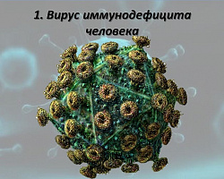 Осторожно – VIRUS!