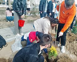 Студенты Лиманского филиала АГПК приняли участие в патриотической акции по высадке деревьев на Аллее Защитников Отечества в п. Лиман